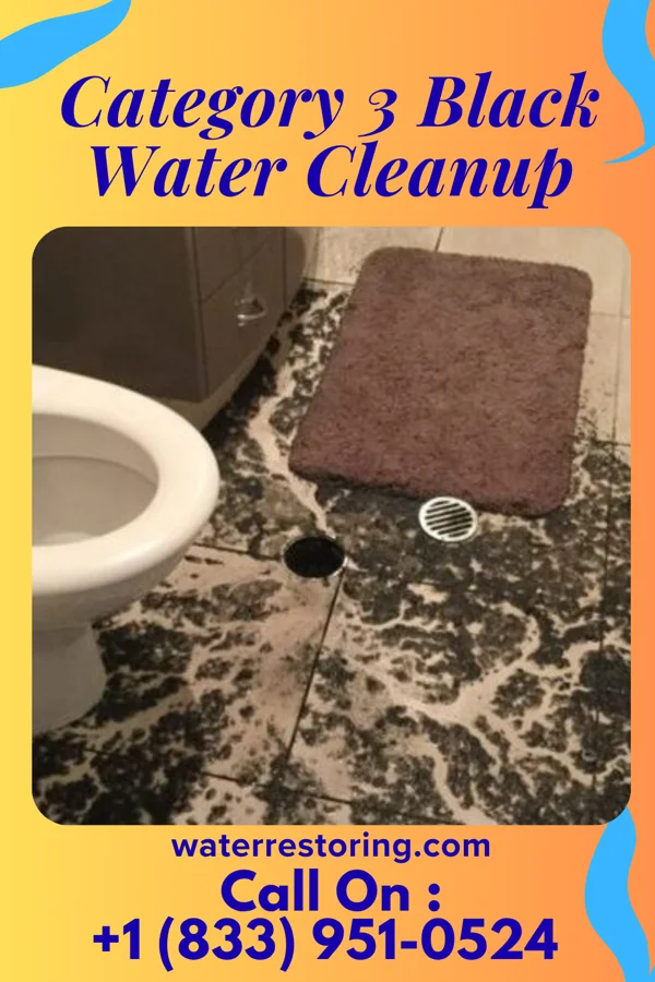 Category 3 Black Water Cleanup in New Washington, OH