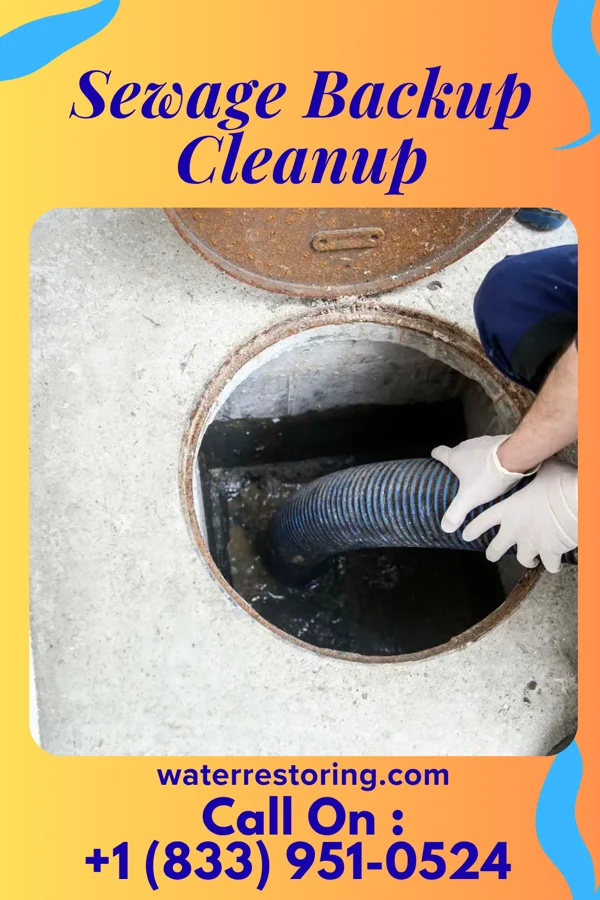 Sewage Backup Cleanup in New Washington, OH