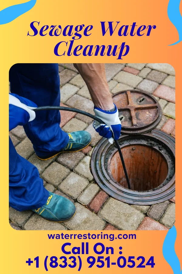 Sewage Water Cleanup in New Washington, OH