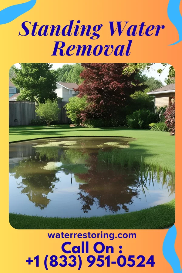 Standing Water Removal in New Washington, OH